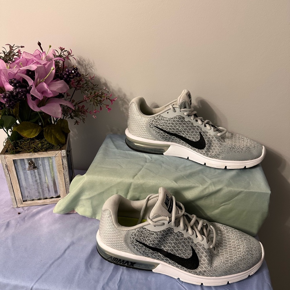 Nike Air Max Gray Sneakers